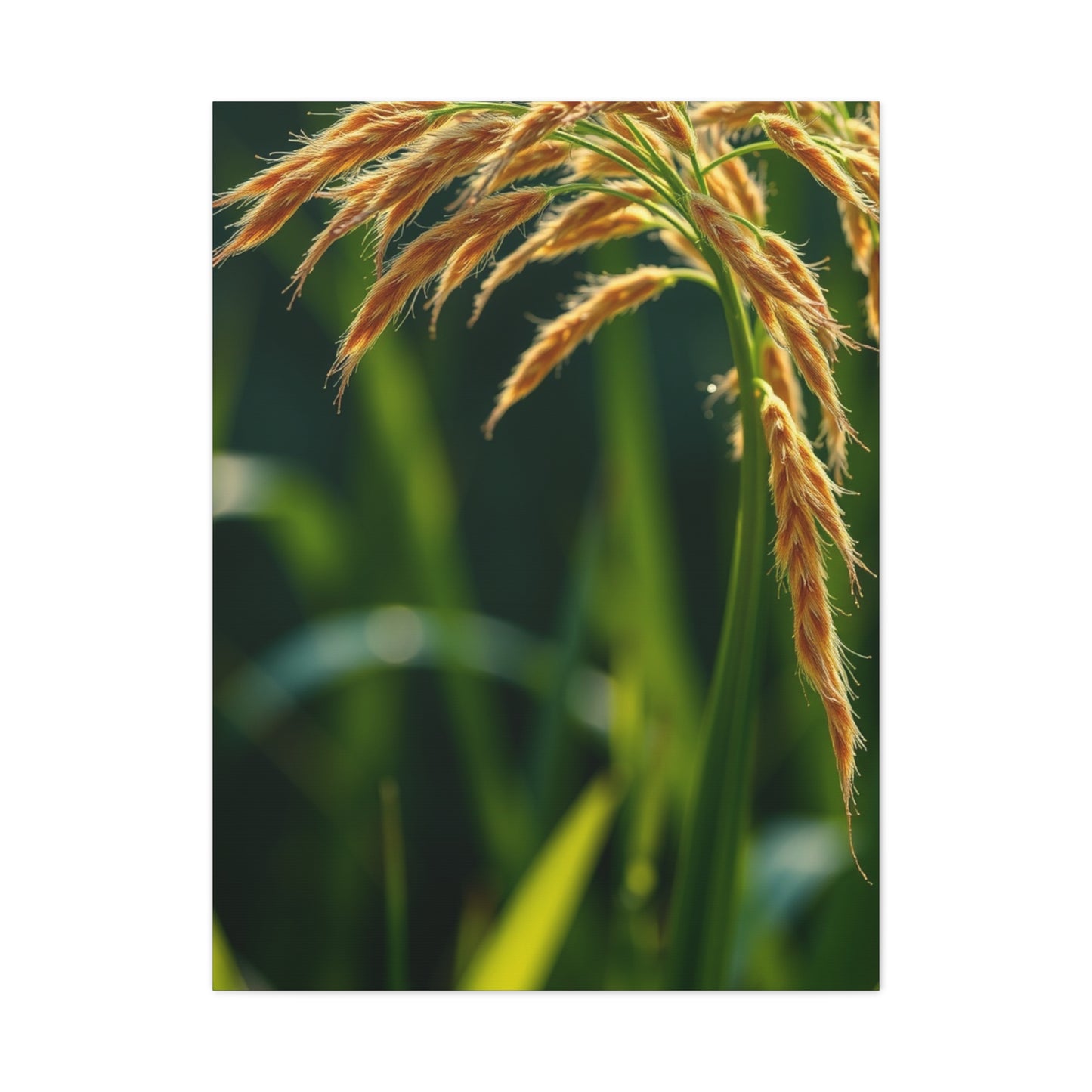 Exquisite Botanic Canvas Wall Art & Canvas Print