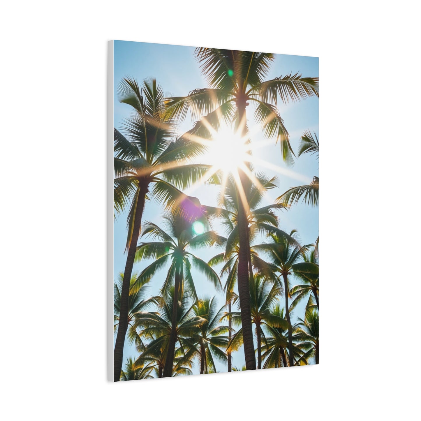 Exquisite Palm Panorama Wall Art & Canvas Print