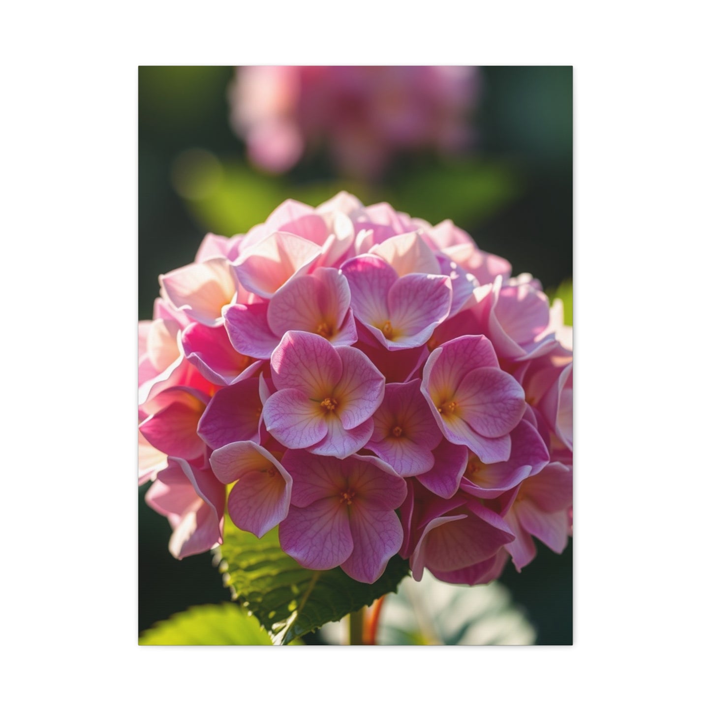 Hydrangea Flower Art Luxury Canvas Wall Art & Canvas Print