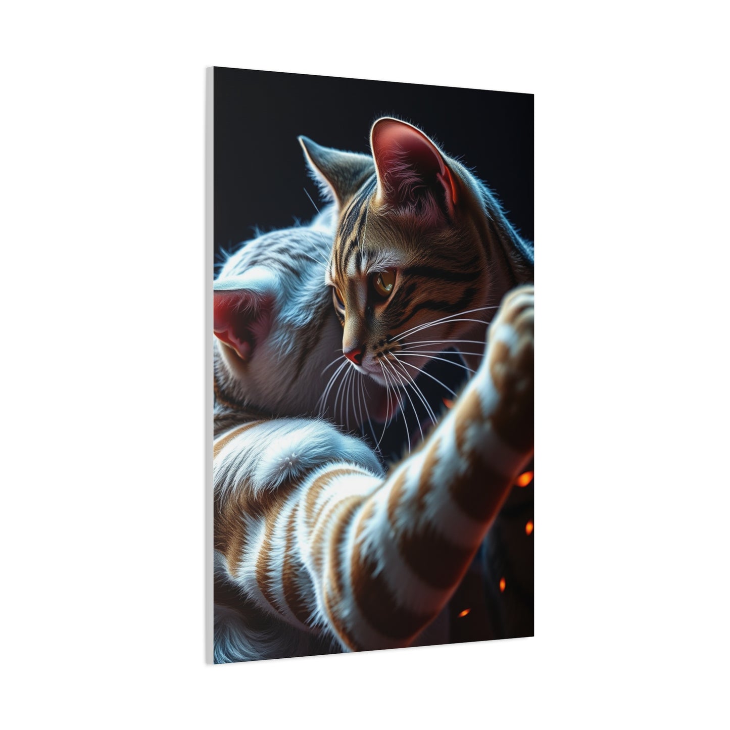 Catfight Art Luxury Canvas Wall Art & Canvas Print