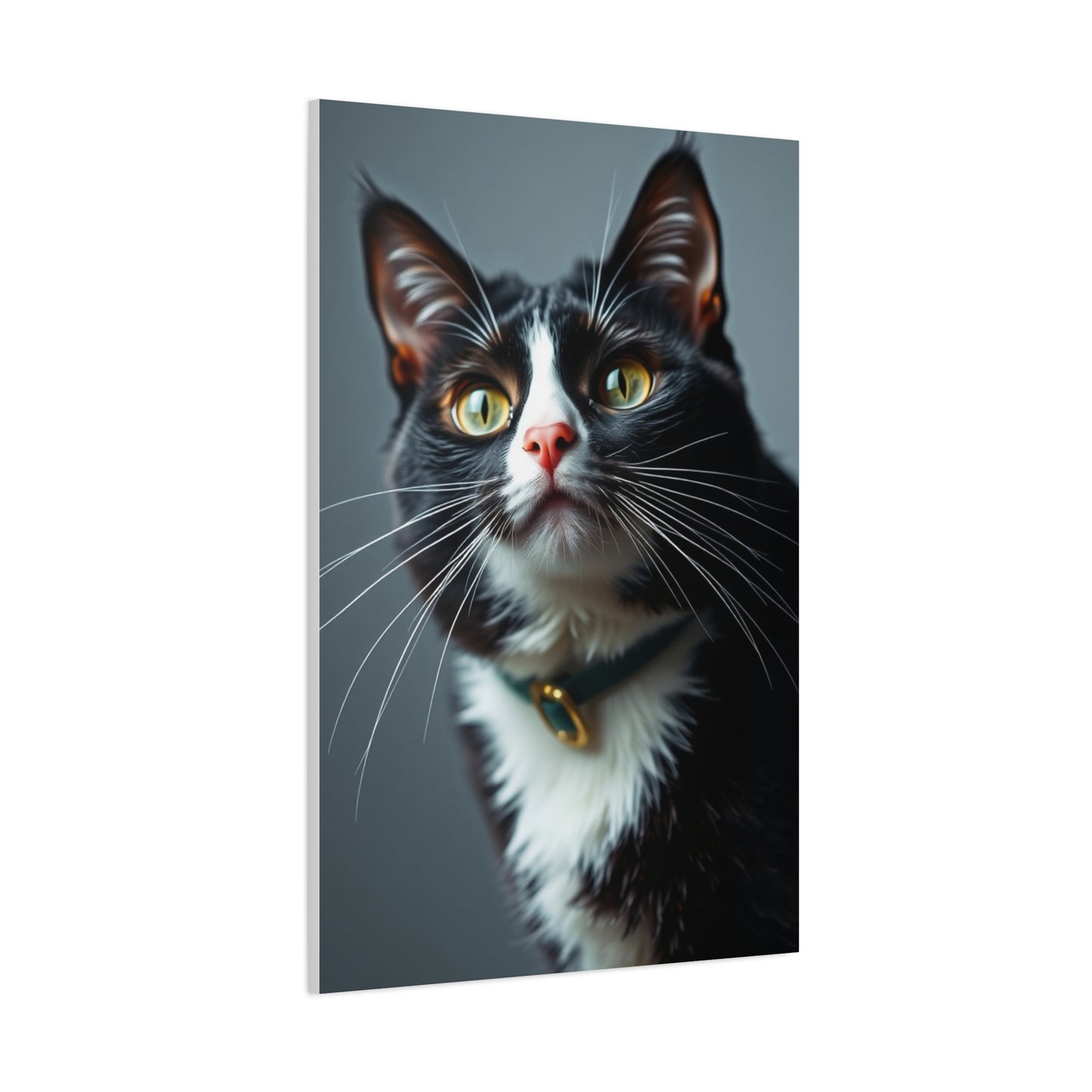 Supreme Tuxedo Cat Art Collection Wall Art & Canvas Print