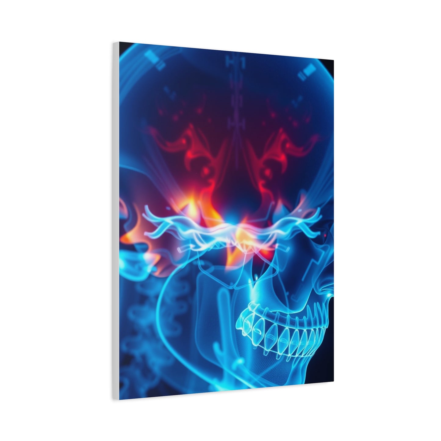 X-Ray Photography Art Luxury Canvas Wall Art & Canvas Print