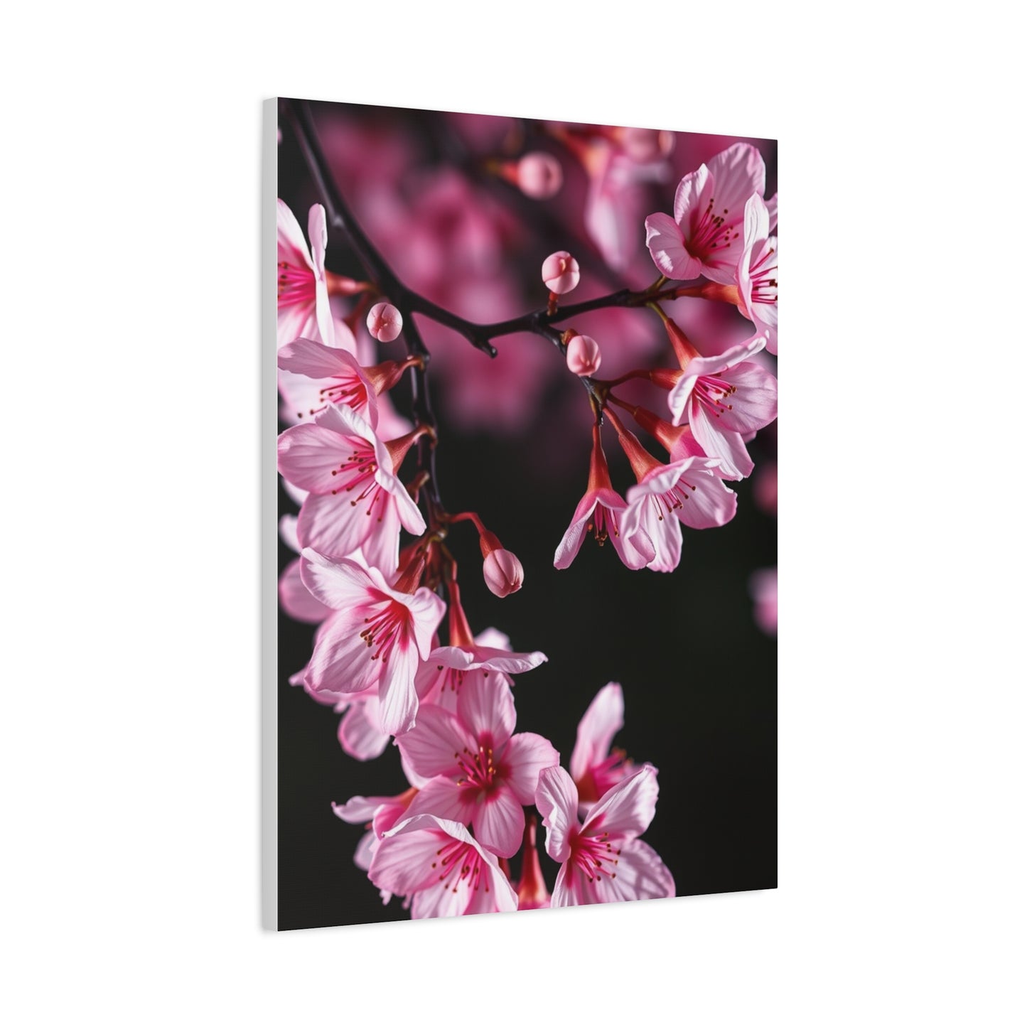 Supreme Cherry Blossom Wall Art Collection Wall Art & Canvas Print