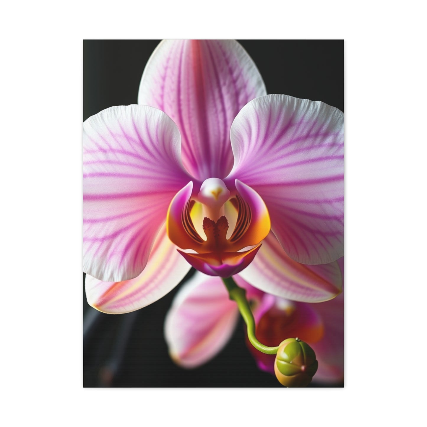 Vision Orchid Flower Art Art Wall Art & Canvas Print