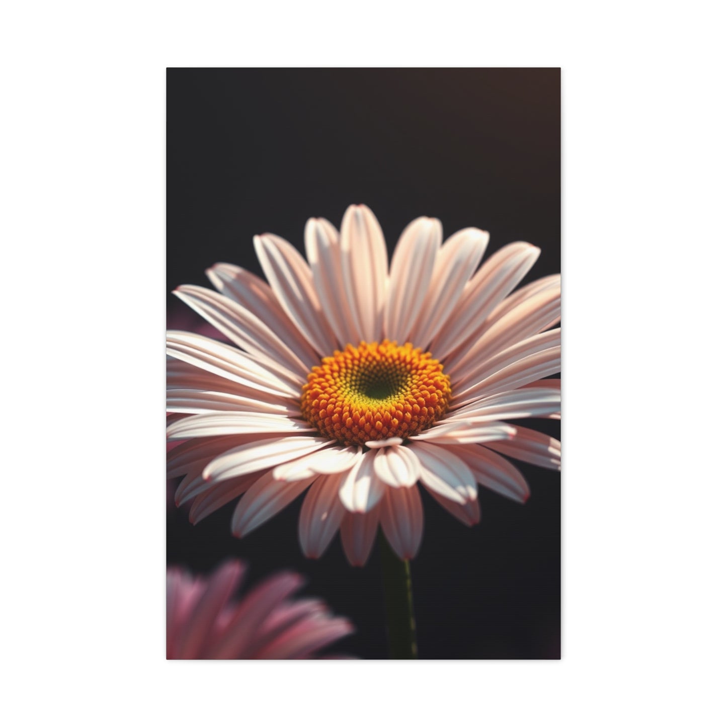 Luxe Petal Reverie Canvas