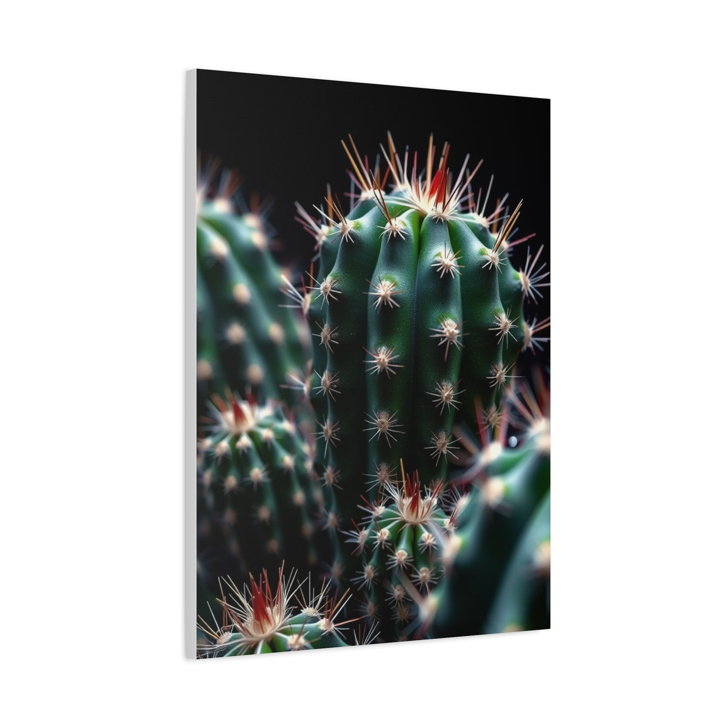 Verdant Desert Dreams Wall Art & Canvas Print