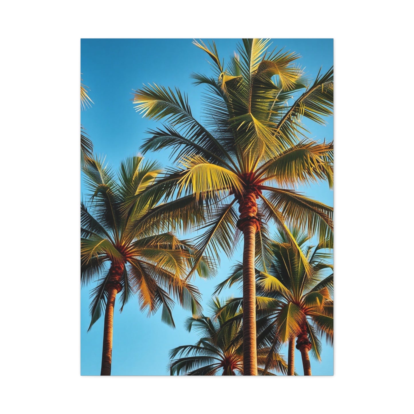 Tranquil Palmscape Wall Art & Canvas Print