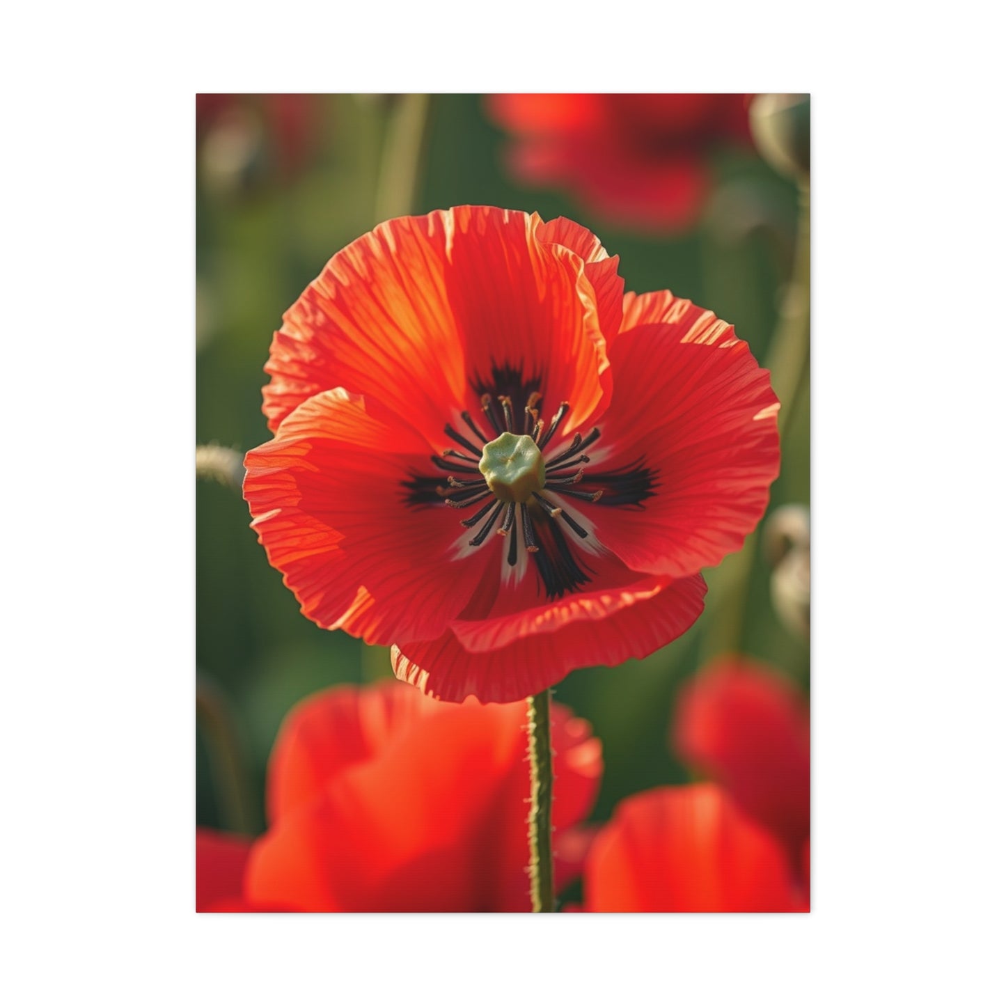 Vision Poppy Flower Art Art Wall Art & Canvas Print
