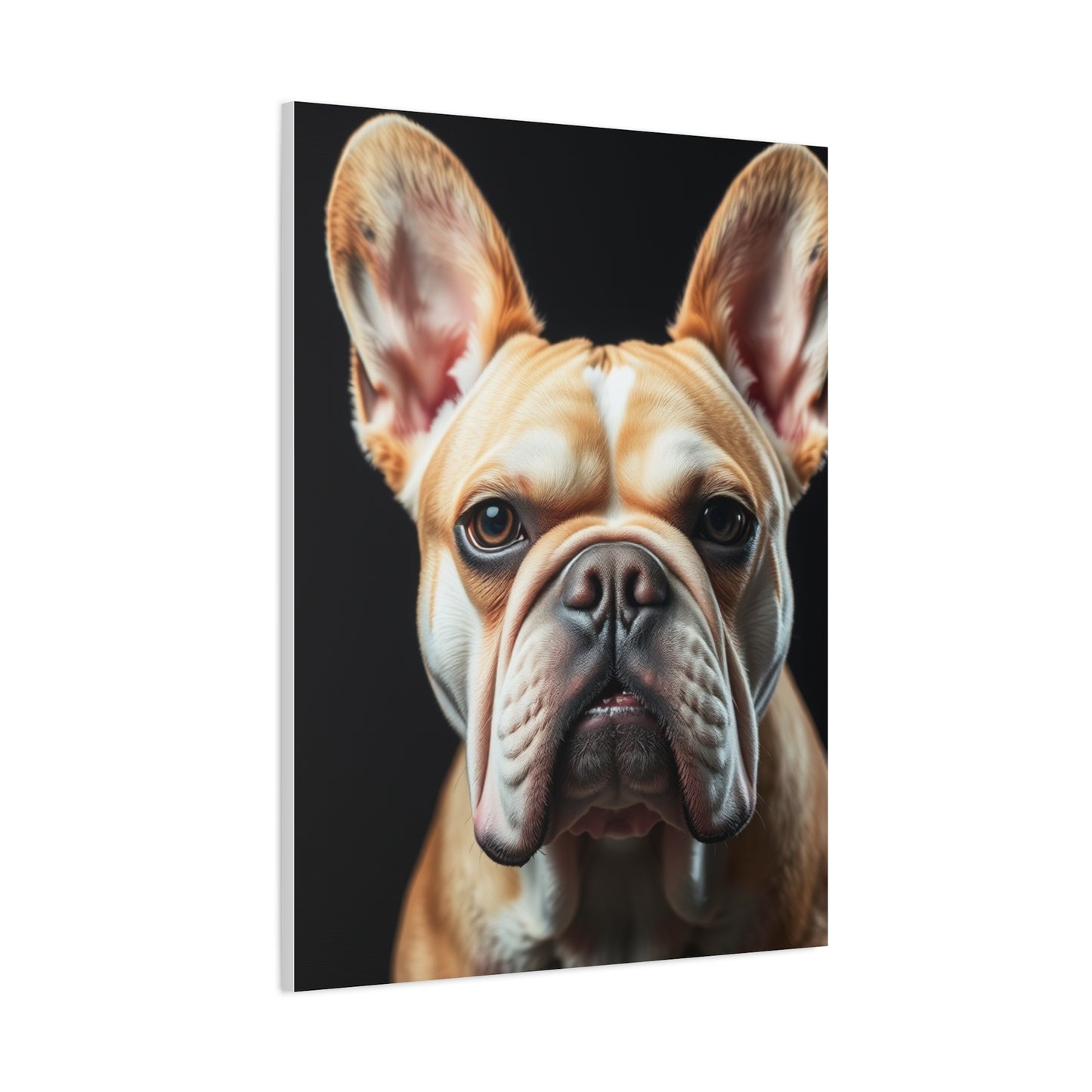 Elite French Bulldog Art Vision Wall Art & Canvas Print
