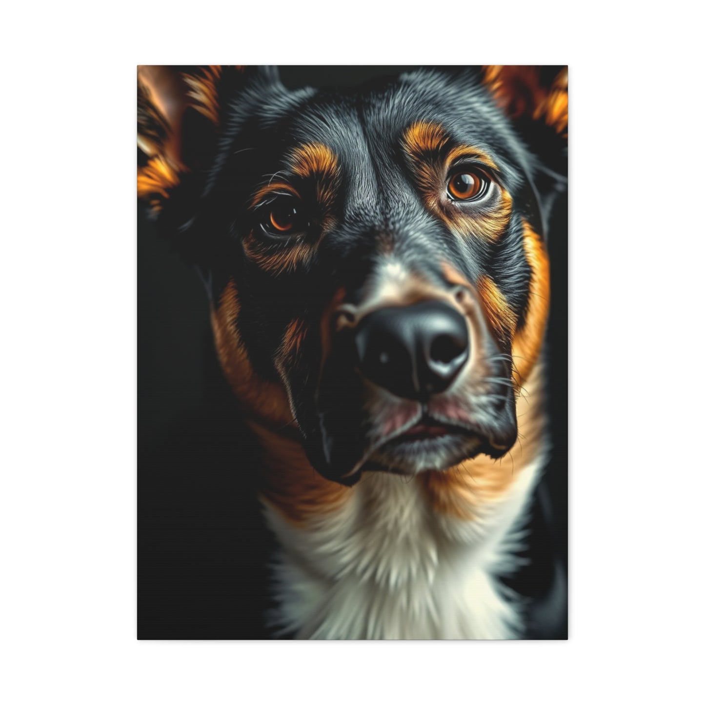 Supreme Black and Tan Art Collection Wall Art & Canvas Print