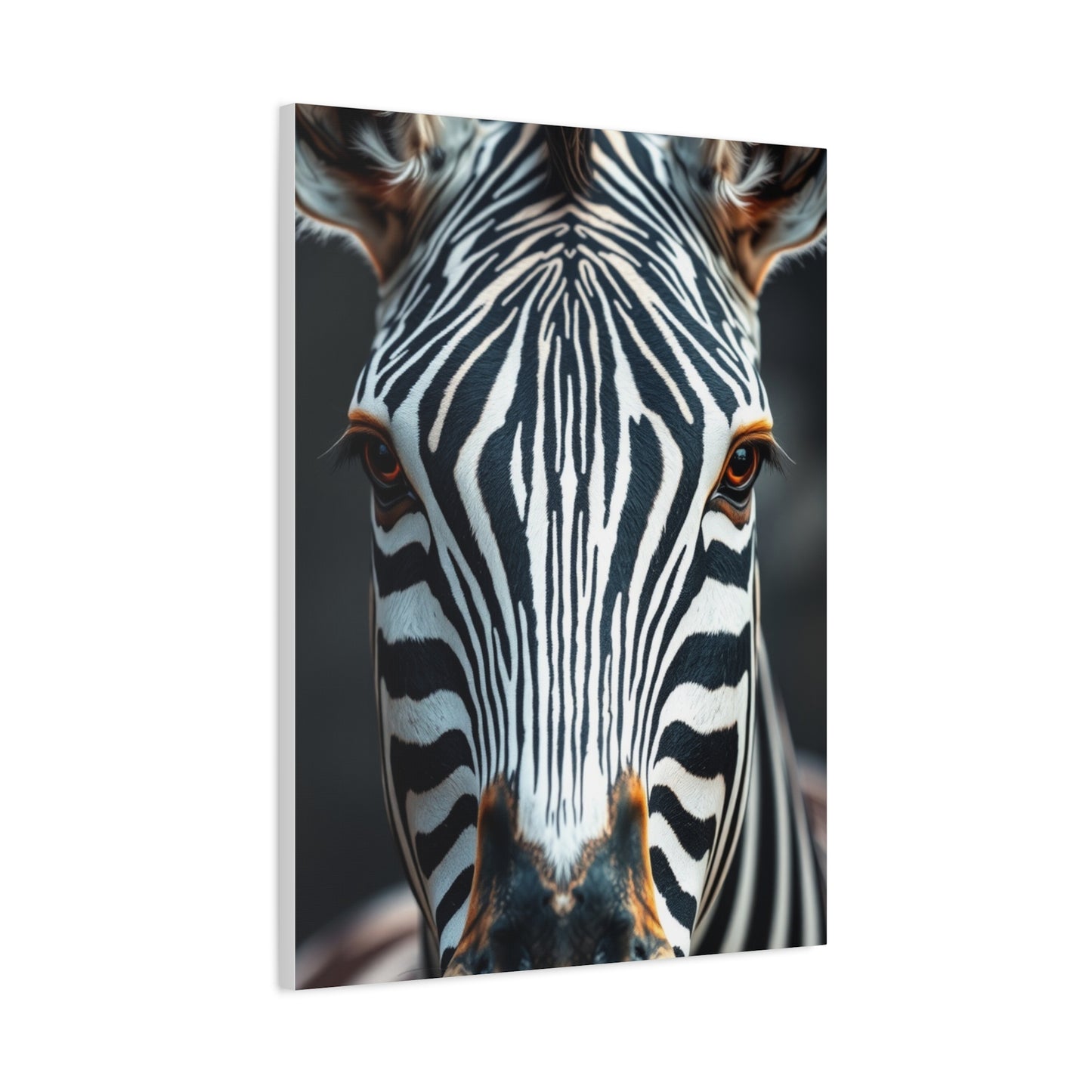 Zebra Art Luxury Canvas Wall Art & Canvas Print