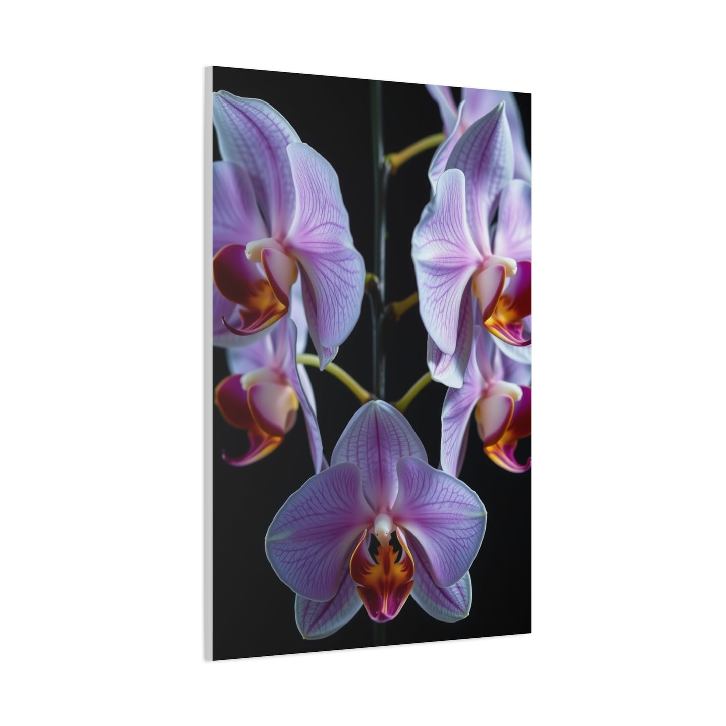 Supreme Orchid Flower Art Collection Wall Art & Canvas Print