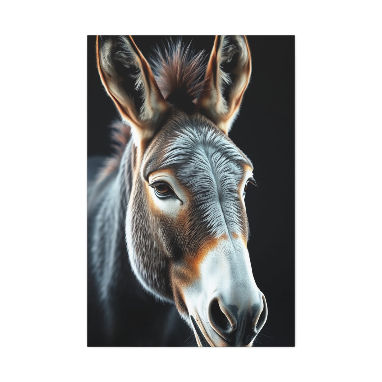 Supreme Donkey Art Collection Wall Art & Canvas Print