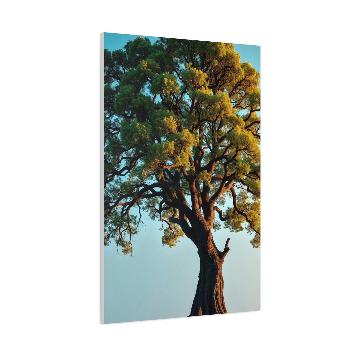 Oak Tree Art Supreme Gallery Wall Art & Canvas Print
