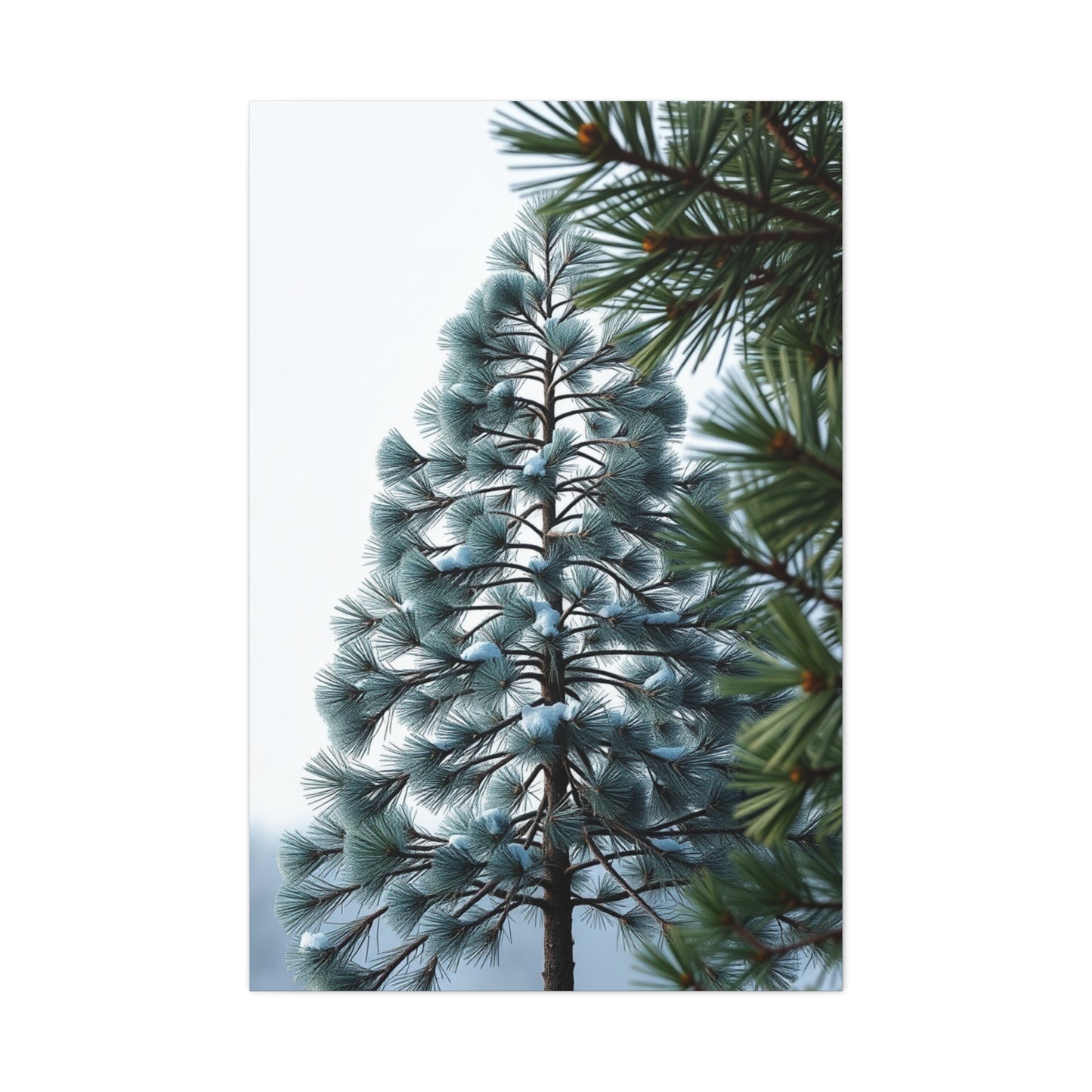 Masterpiece Pine Tree Art Vision Wall Art & Canvas Print