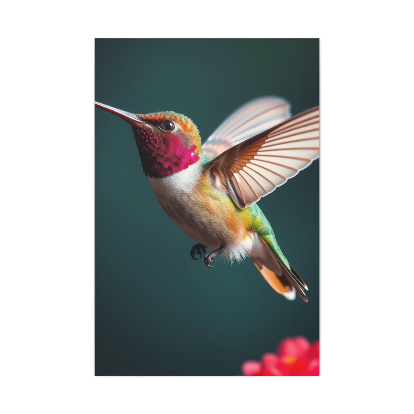 Humming Bird Art Refined Canvas Wall Art & Canvas Print