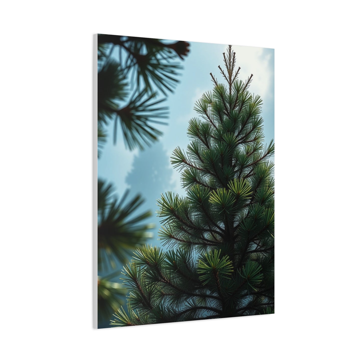 Supreme Pine Tree Art Collection Wall Art & Canvas Print