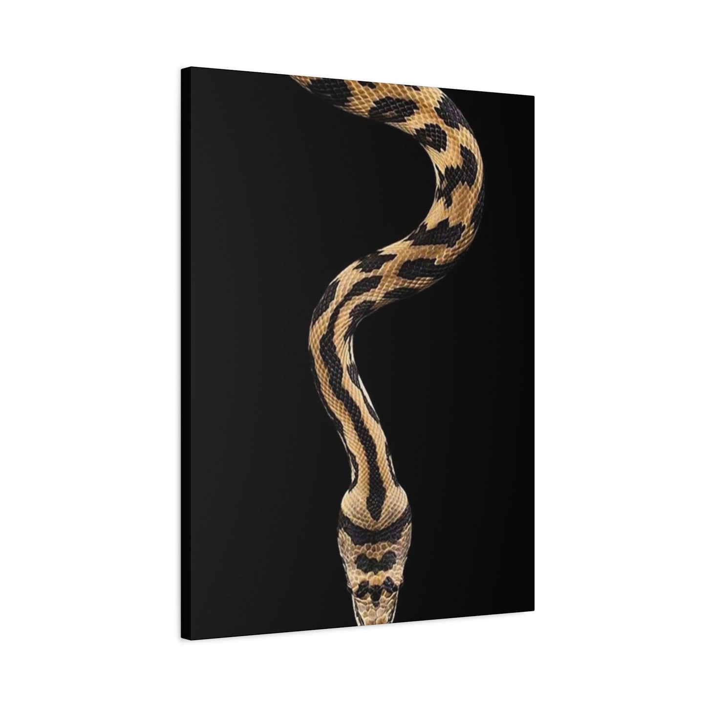 Snake On Black Poster Wall Art & Canvas Prints