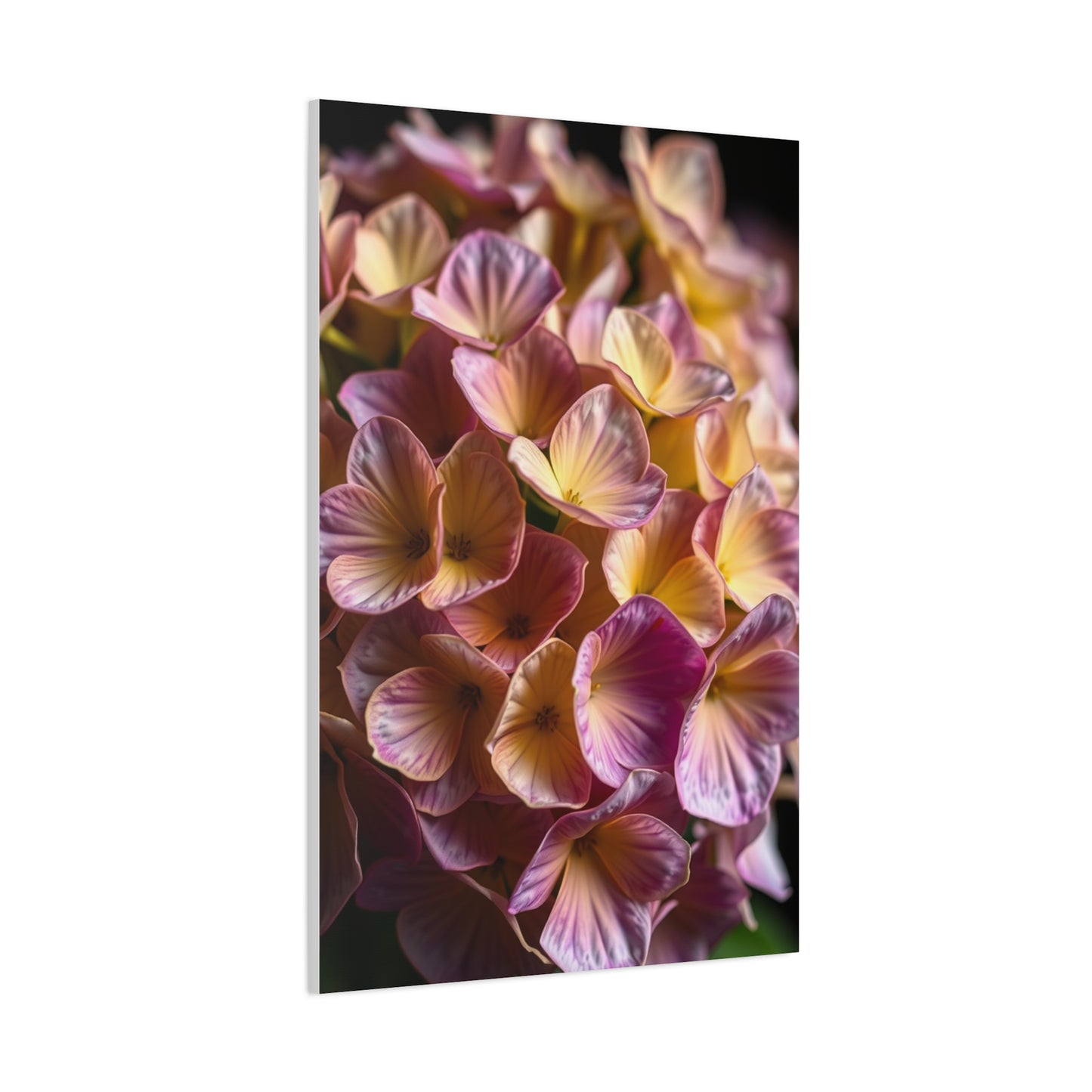 Supreme Hydrangea Flower Art Collection Wall Art & Canvas Print