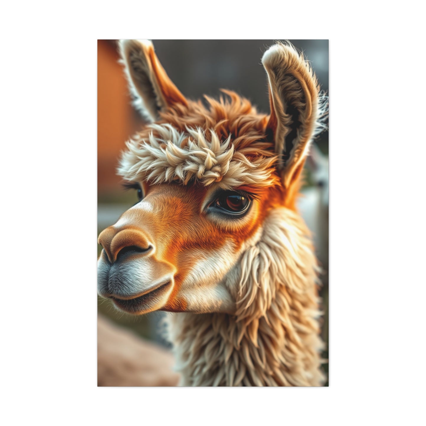 Llama & Alpaca Art Supreme Gallery Wall Art & Canvas Print