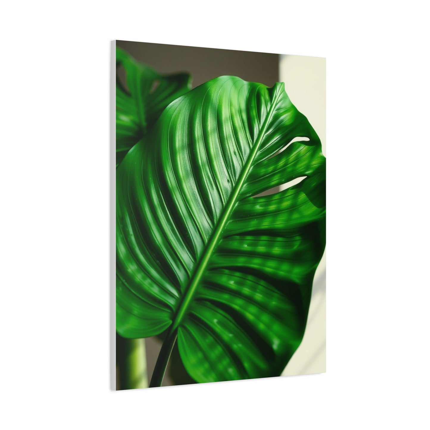 Supreme Monstera Plant Art Collection Wall Art & Canvas Print