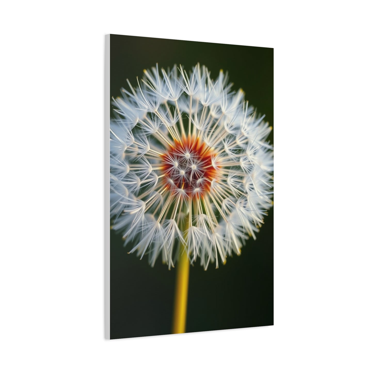 Dandelion Flower Art Supreme Gallery Wall Art & Canvas Print