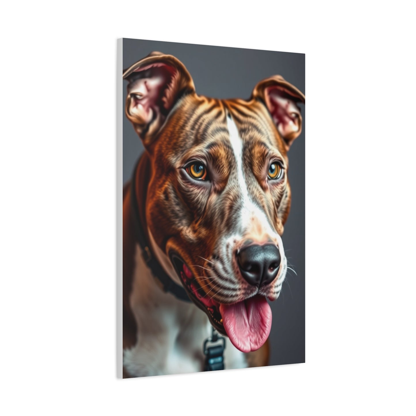 Supreme Pit Bull Art Collection Wall Art & Canvas Print