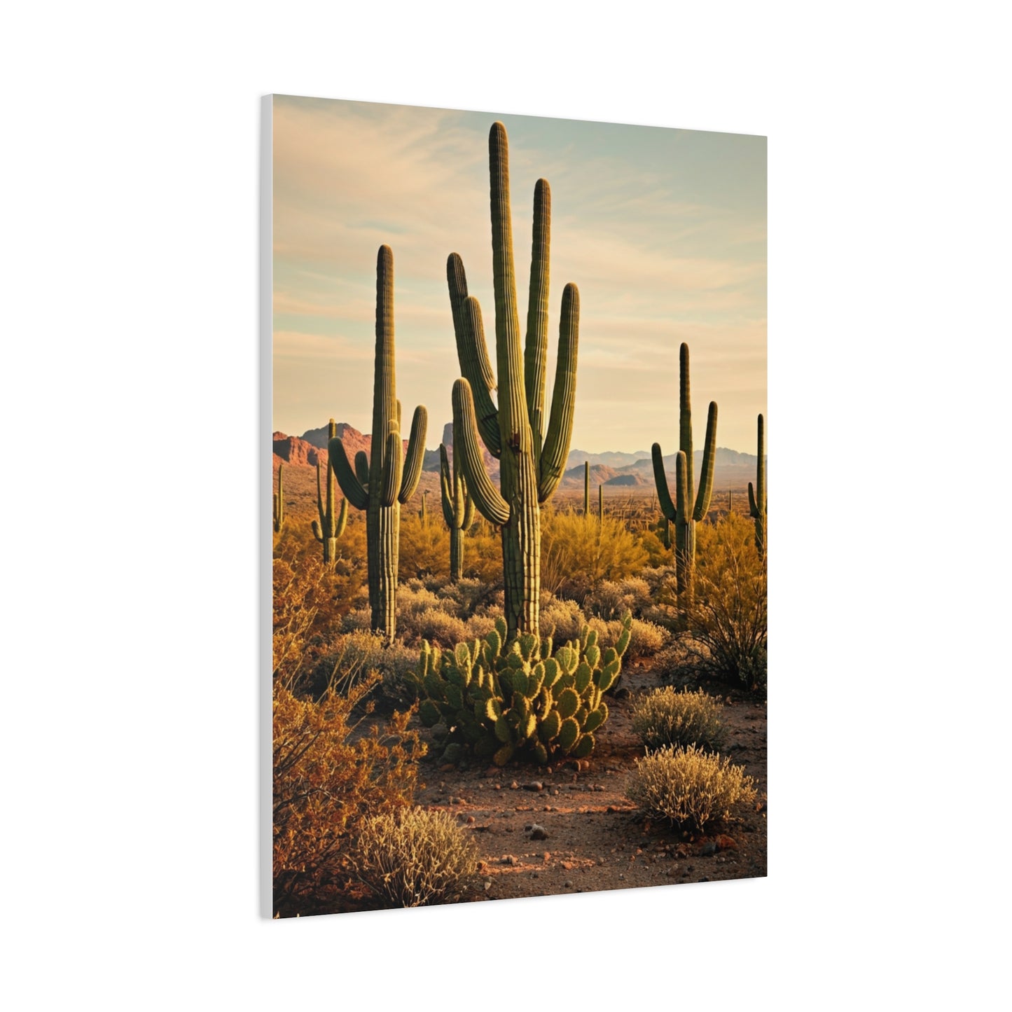 Sonoran Desert Saguaro Field Wall Art & Canvas Prints