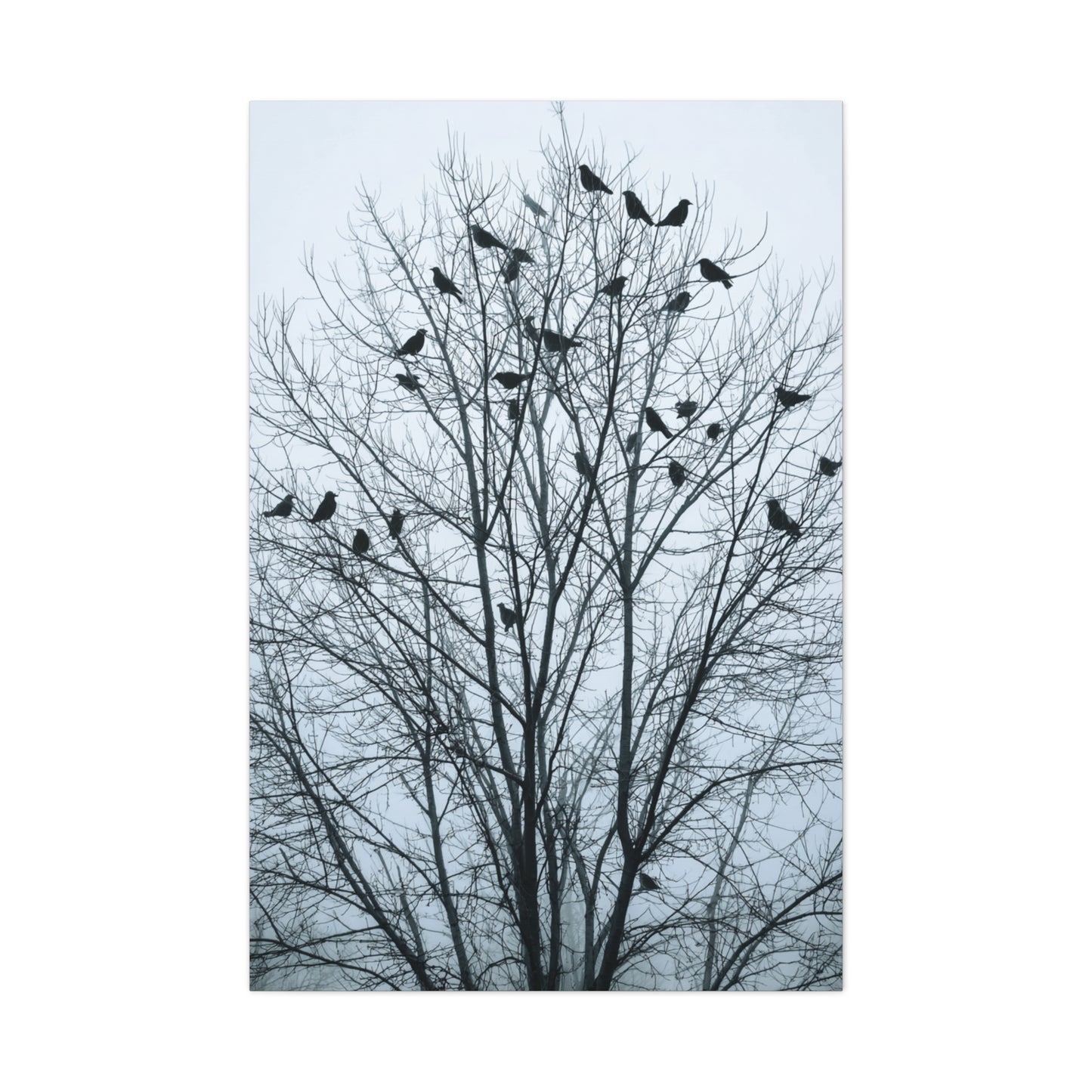 Tree of Crows Silhouette Wall Art & Canvas Print