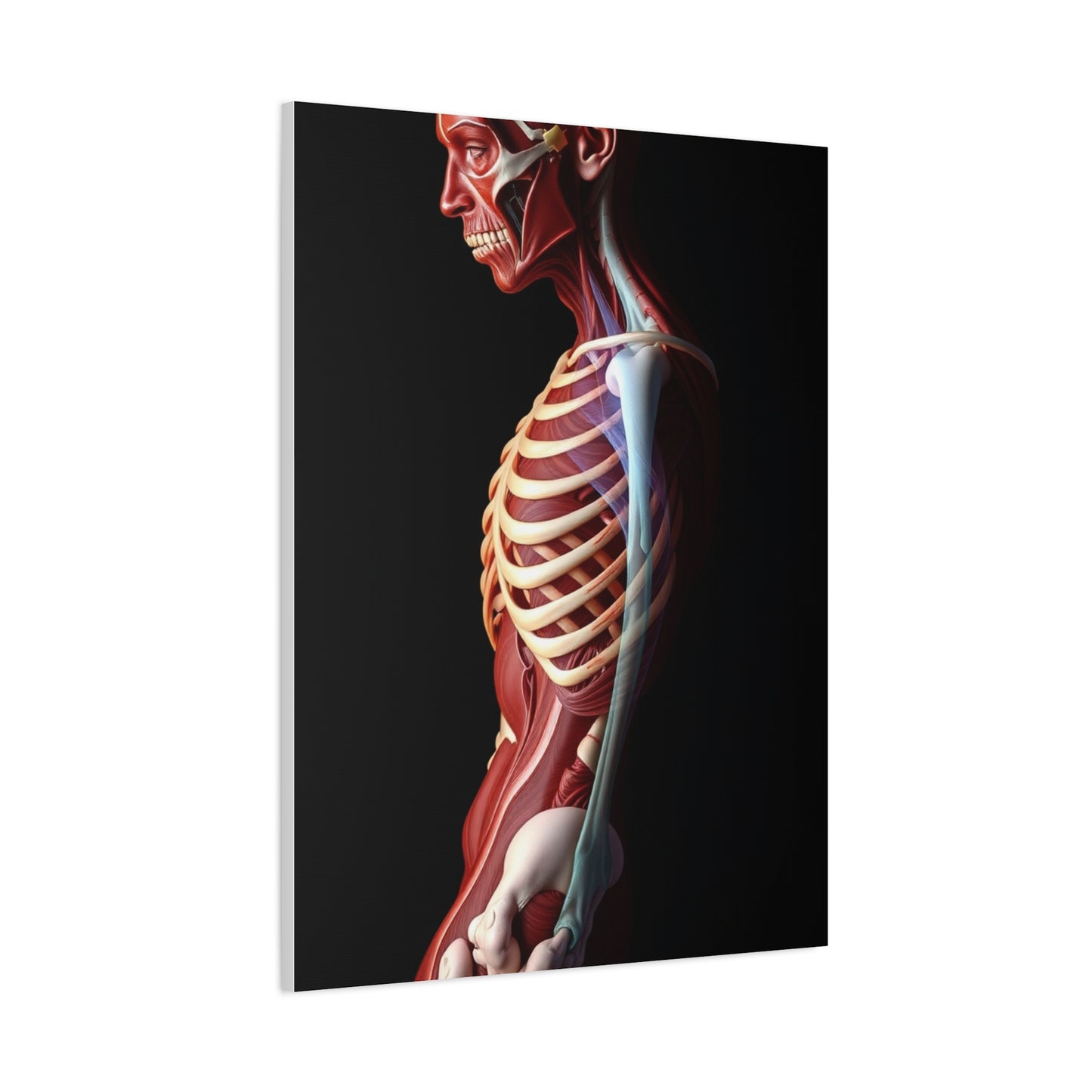 Supreme Anatomy Art Collection Wall Art & Canvas Print