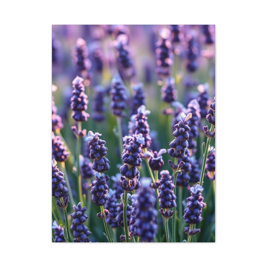 Vision Lavender Herb Art Art Wall Art & Canvas Print