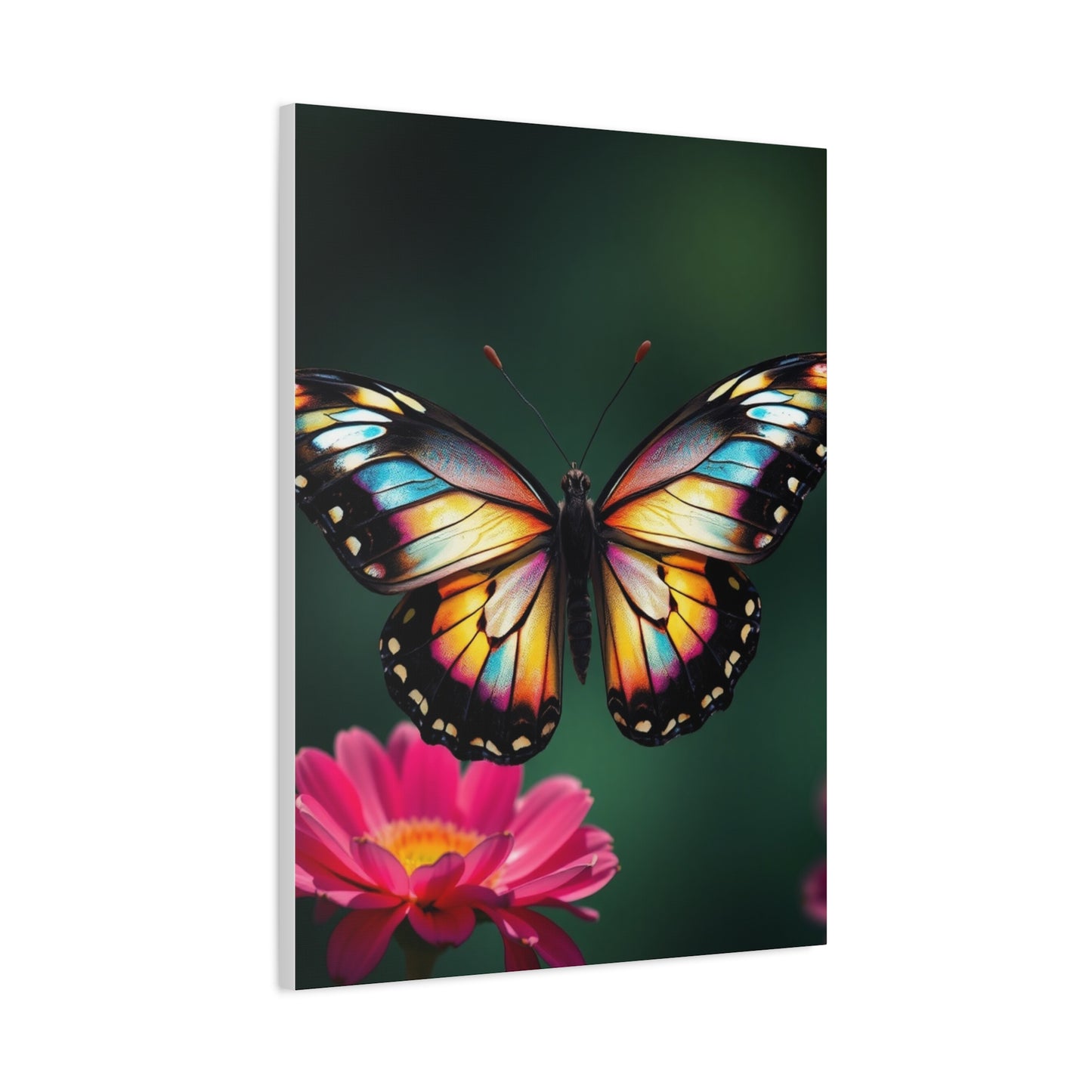 Enchanted Flutter Gallery Wall Art & Canvas Print