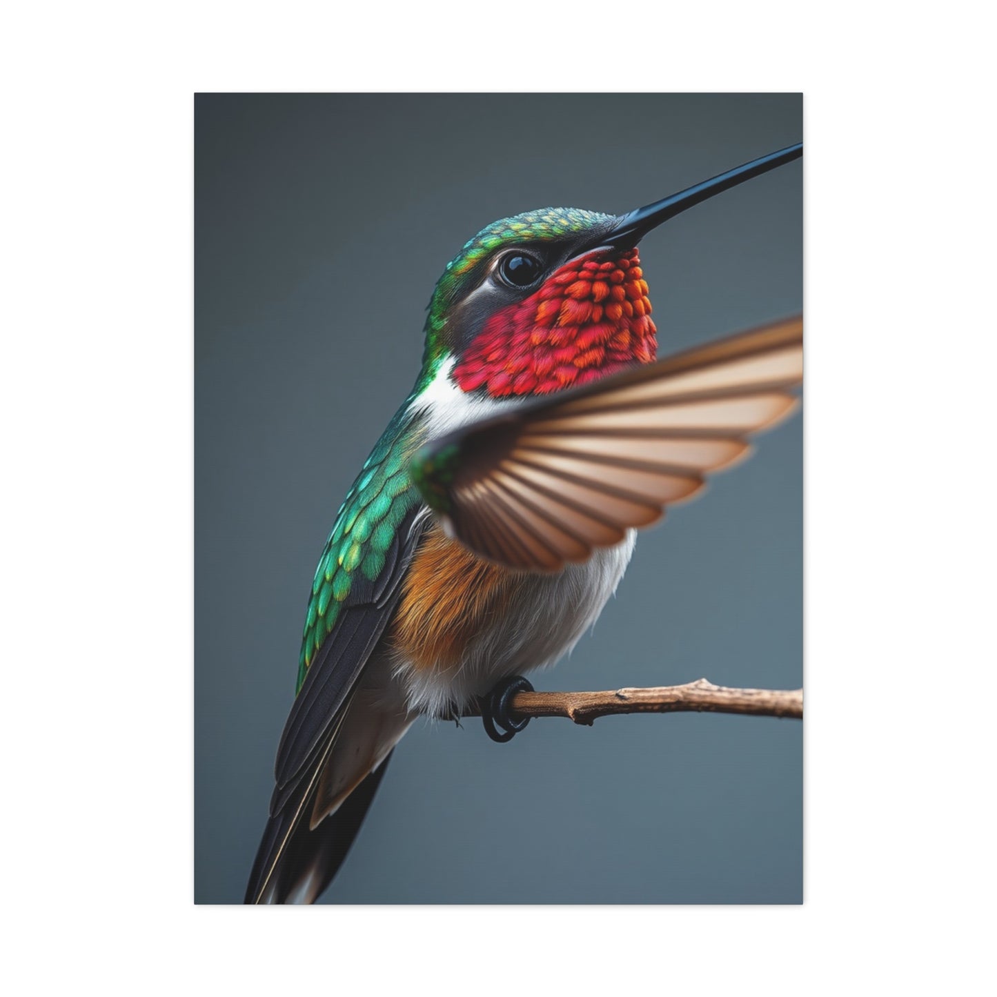 Humming Bird Art Luxury Canvas Wall Art & Canvas Print