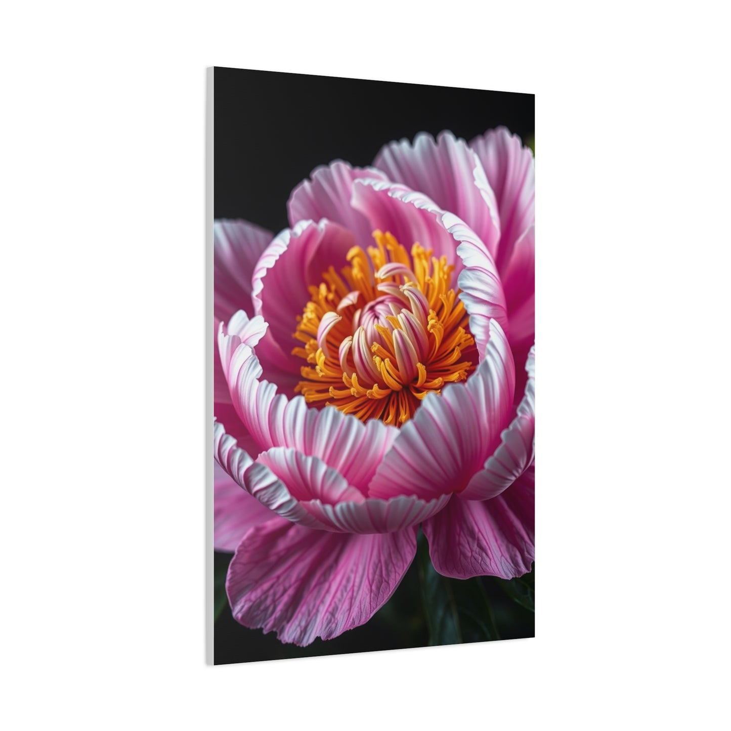 Celestial Peony Elegance Wall Art & Canvas Print