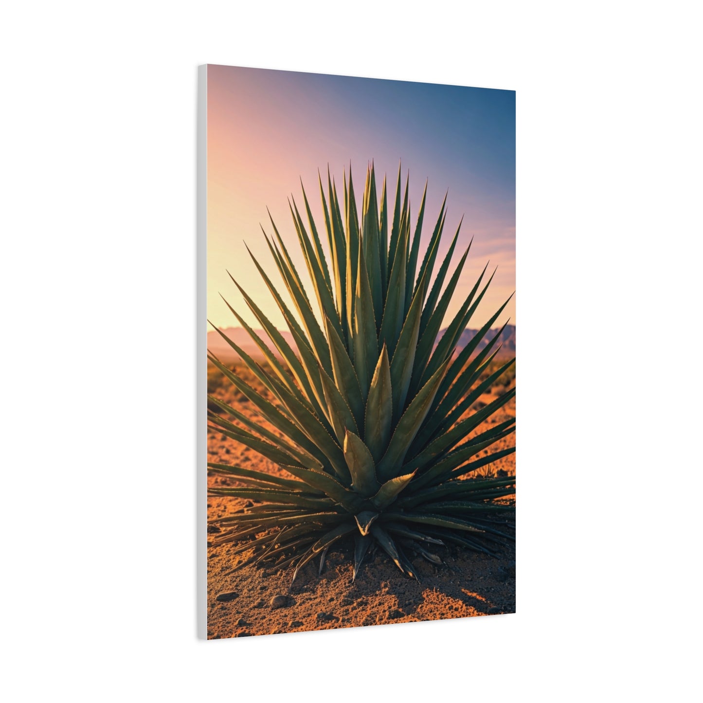 Desert Agave Sunburst Wall Art & Canvas Prints