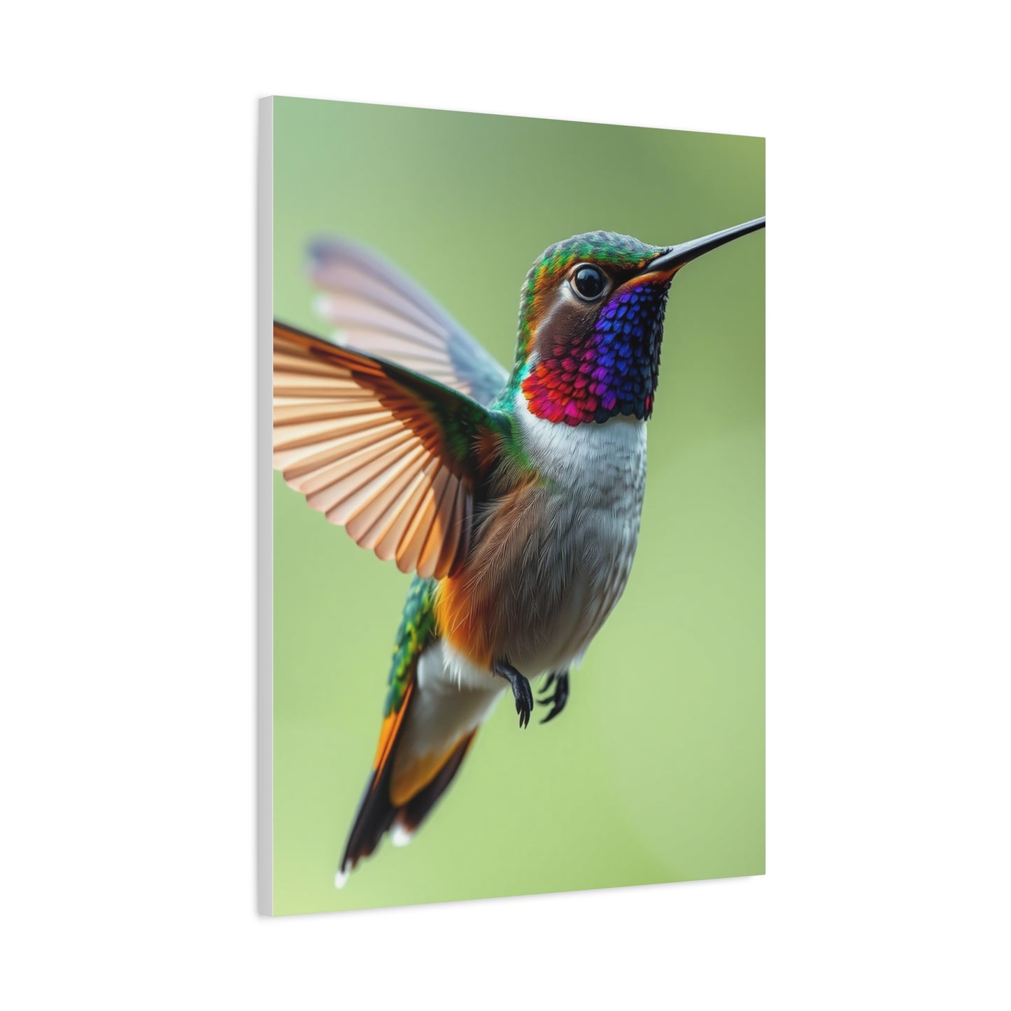 Vision Humming Bird Art Art Wall Art & Canvas Print