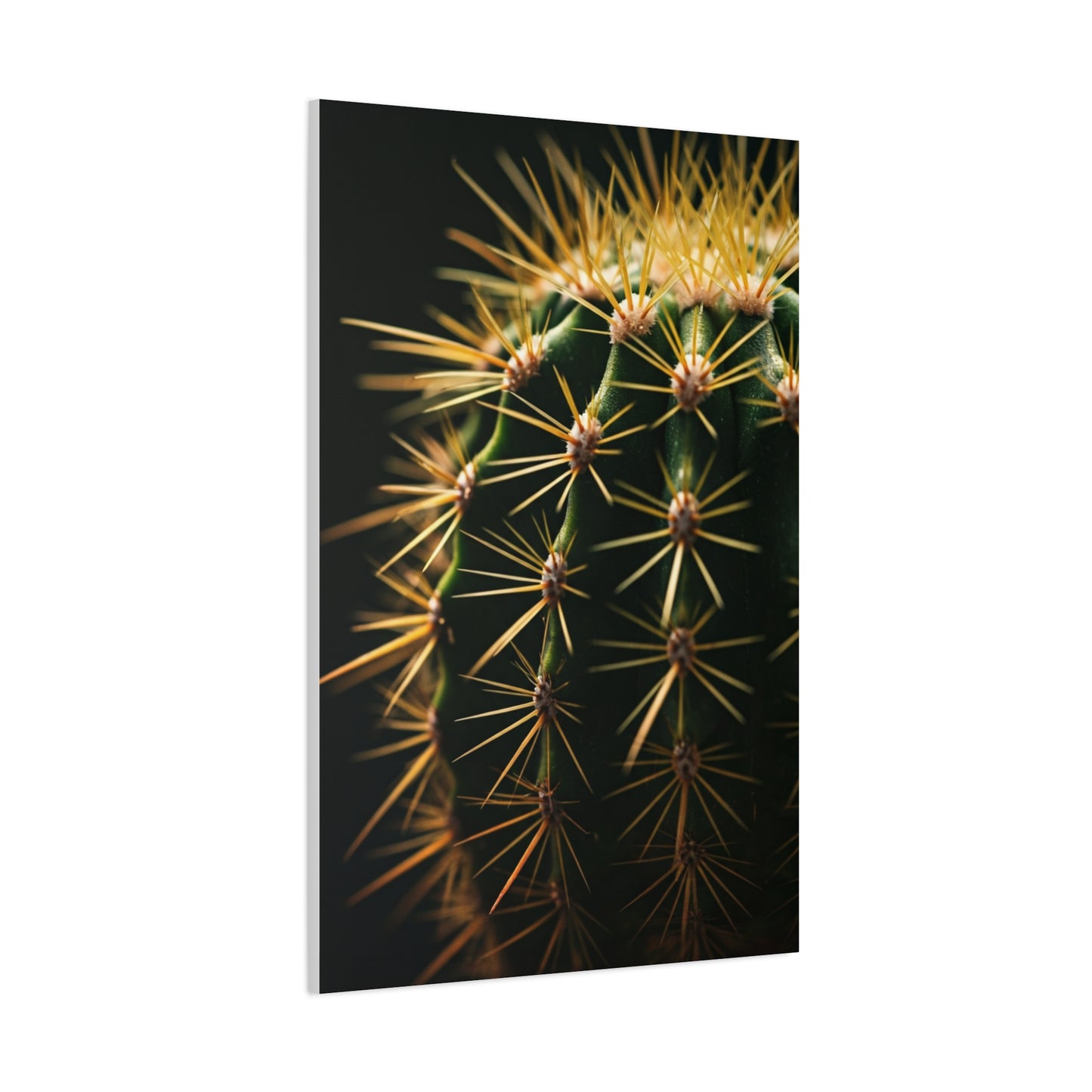 Desert Geometry Cactus Close-Up Wall Art & Canvas Prints