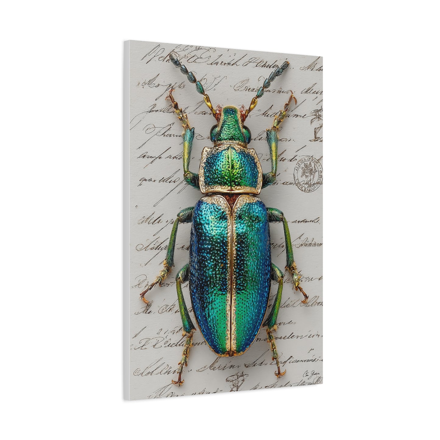 Emerald Beetle Natural History Wall Art & Canvas Print
