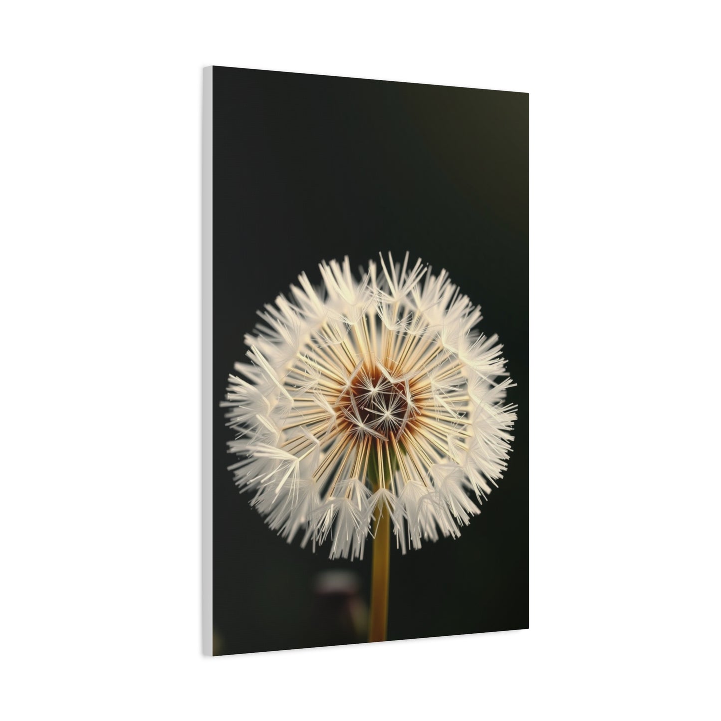 Masterpiece Dandelion Flower Art Vision Wall Art & Canvas Print