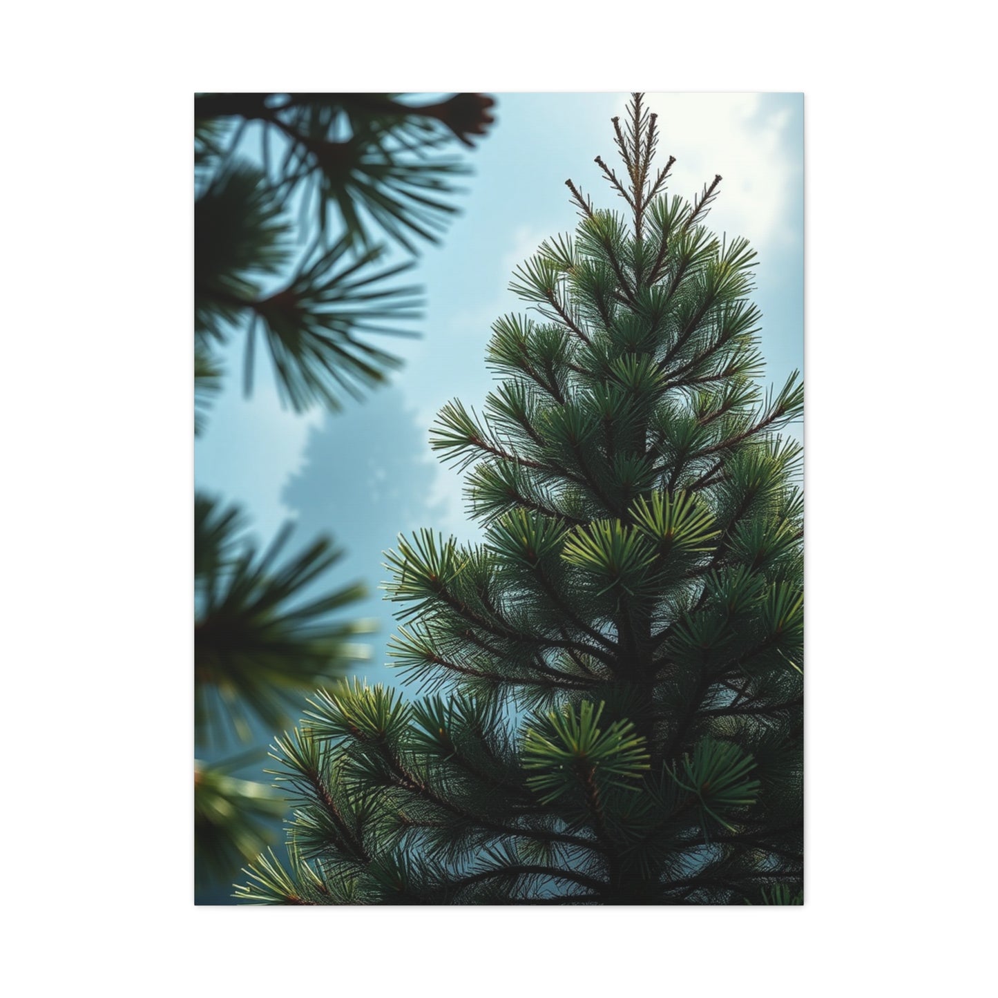 Supreme Pine Tree Art Collection Wall Art & Canvas Print