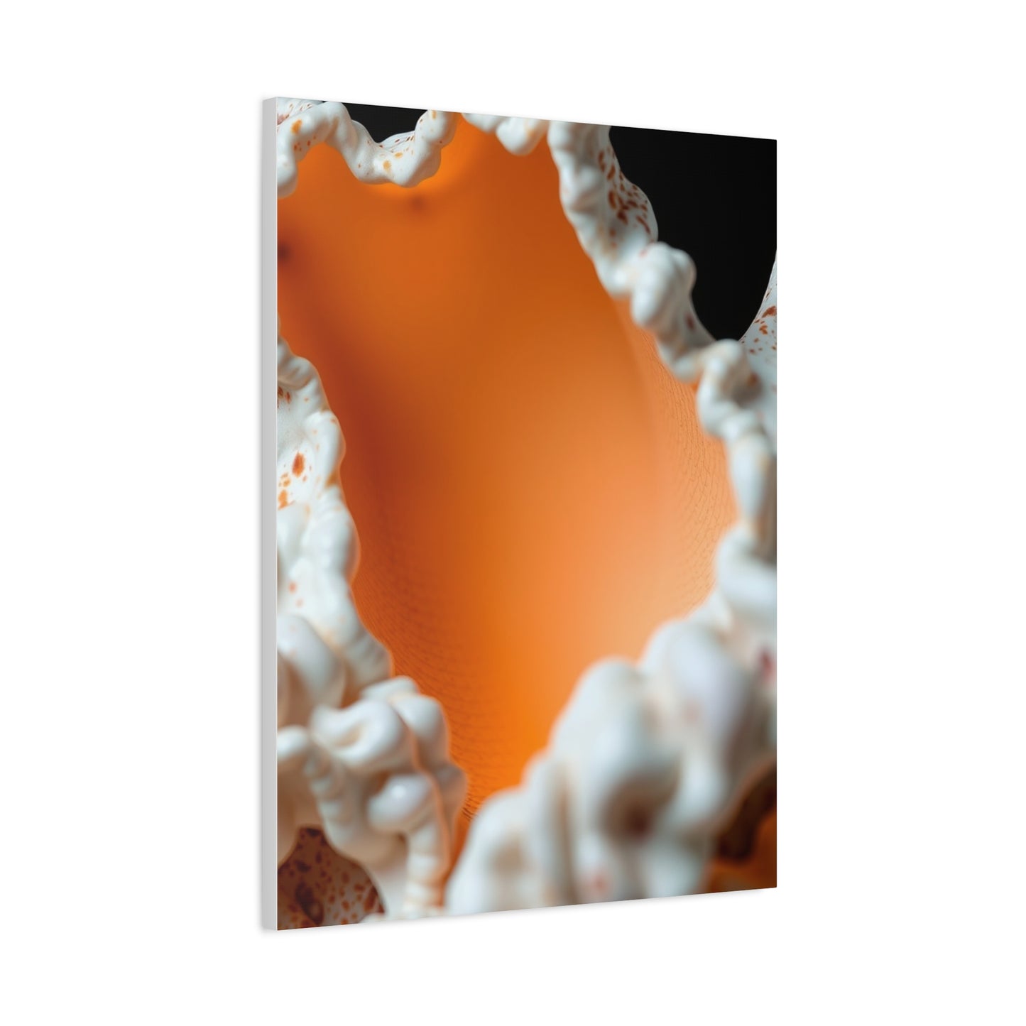 Supreme Sea Shell Art Collection Wall Art & Canvas Print