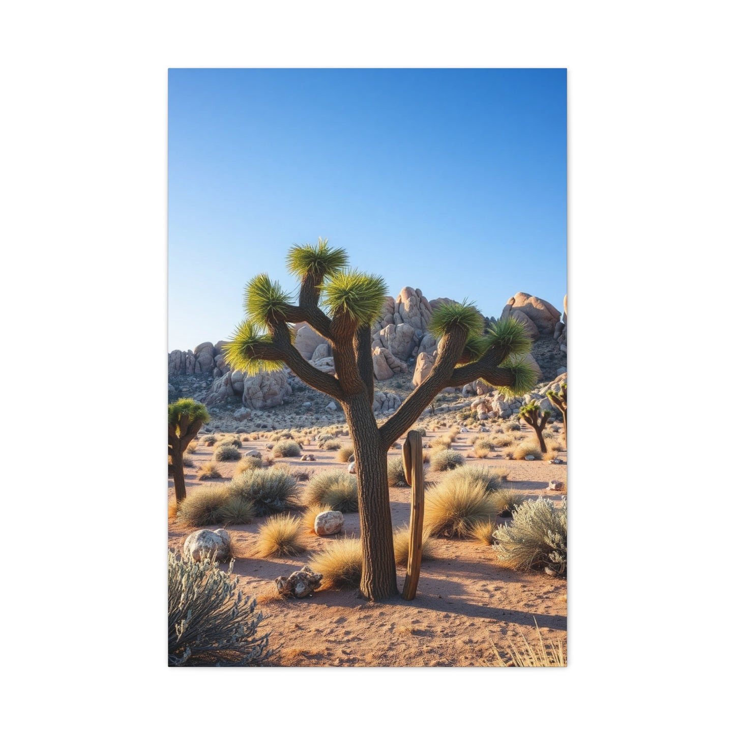 Masterpiece Joshua Tree National Park Art Vision Wall Art & Canvas Print