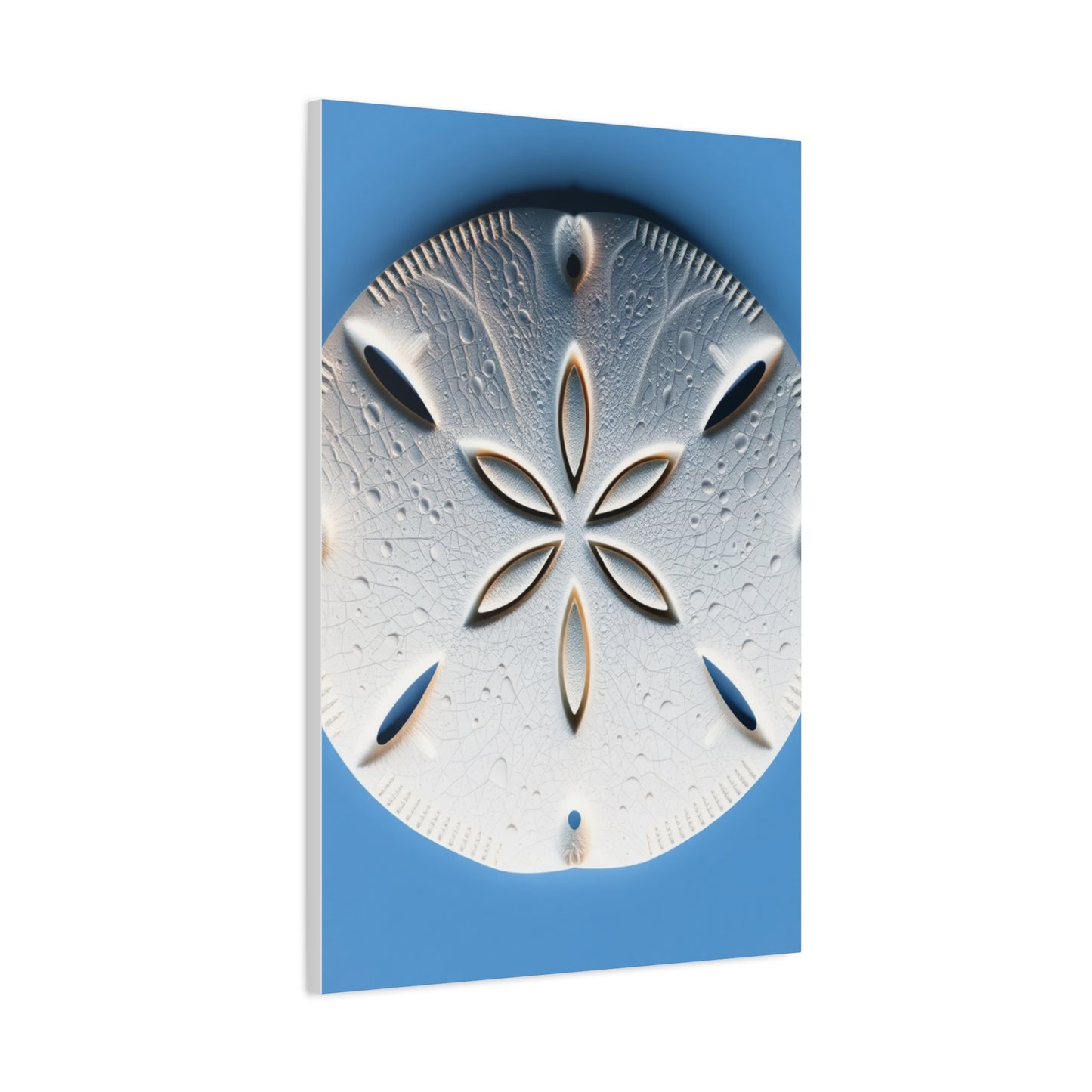 Sand Dollar Art Supreme Gallery Wall Art & Canvas Print