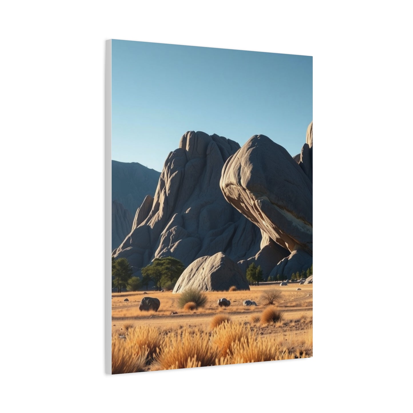 Boulder Art Luxury Canvas Wall Art & Canvas Print