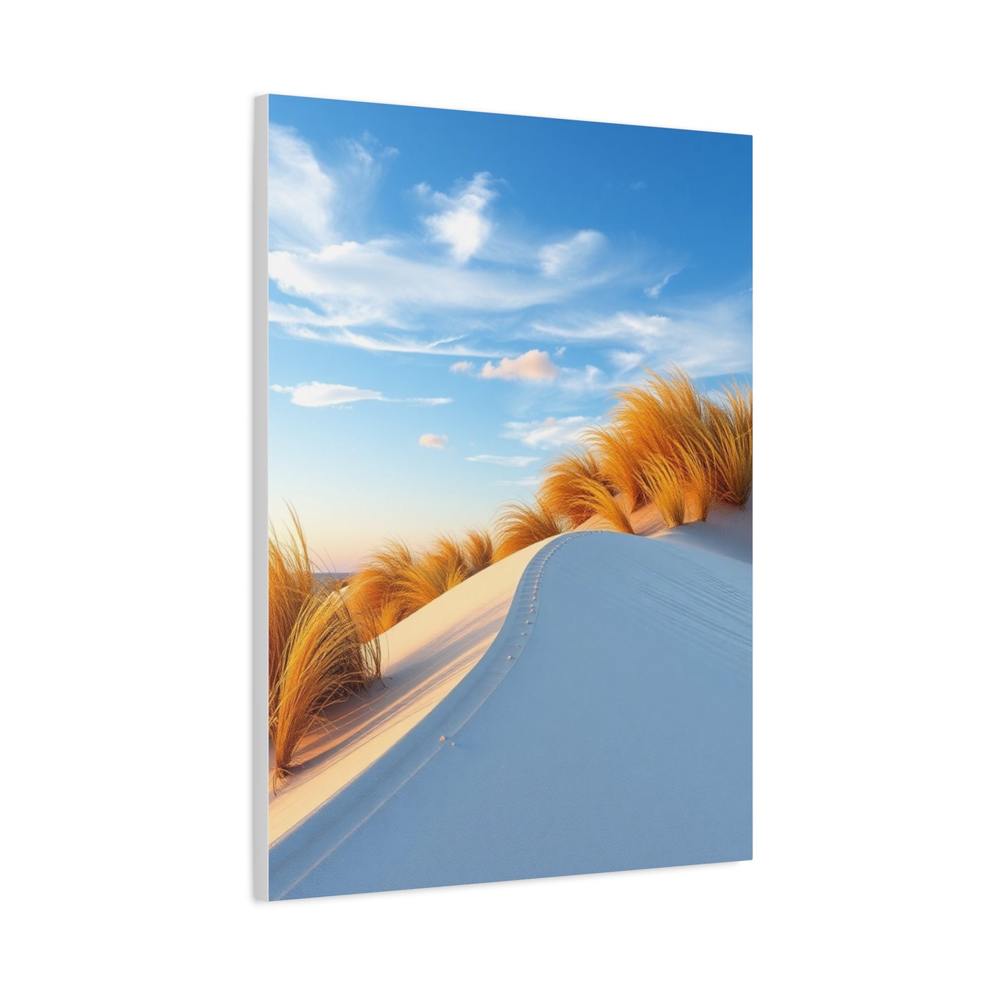 Coastal Sand Dunes Art Supreme Gallery Wall Art & Canvas Print