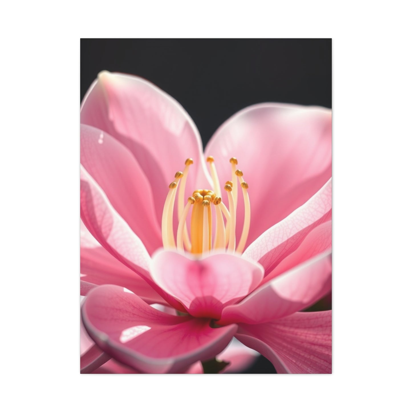 Magnolia Art Supreme Gallery Wall Art & Canvas Print