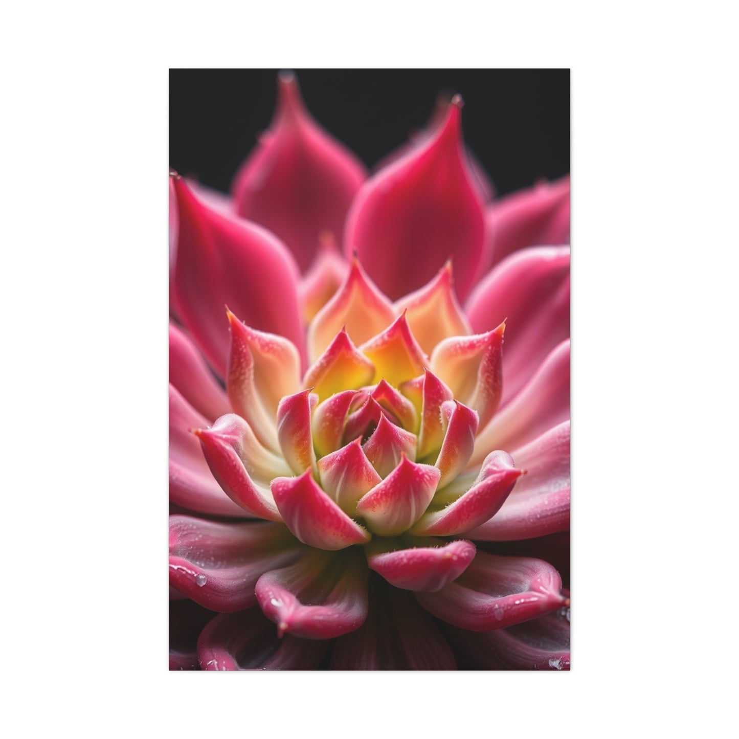 Succulent Art Supreme Gallery Wall Art & Canvas Print
