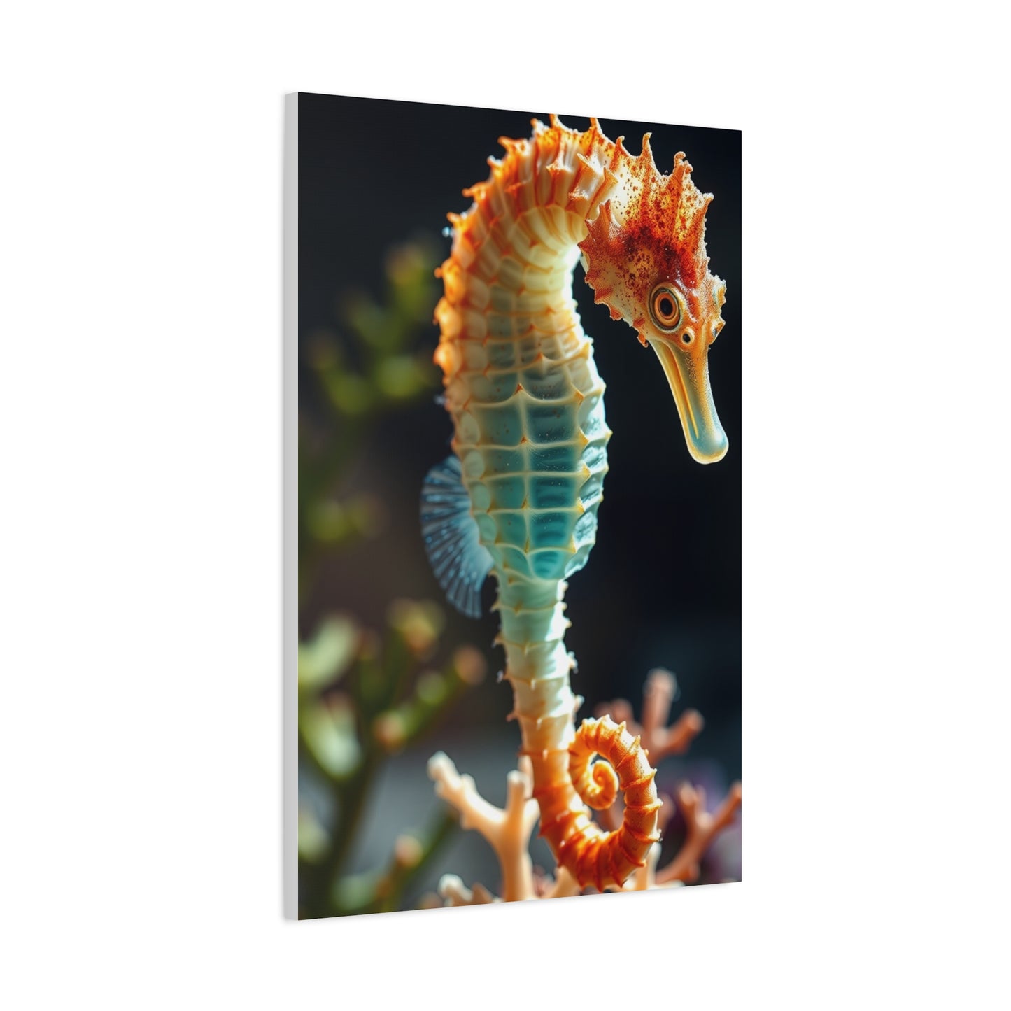 Vision Seahorse Art Art Wall Art & Canvas Print