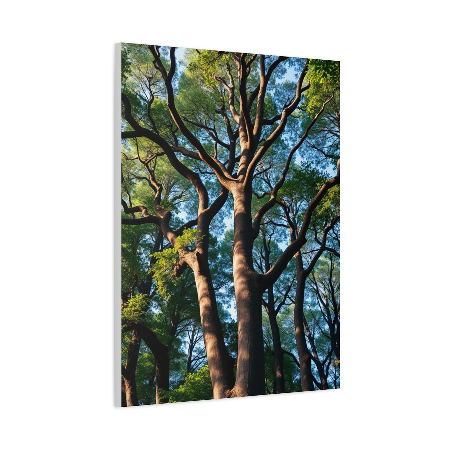 Gilded Forest Impression Wall Art & Canvas Print