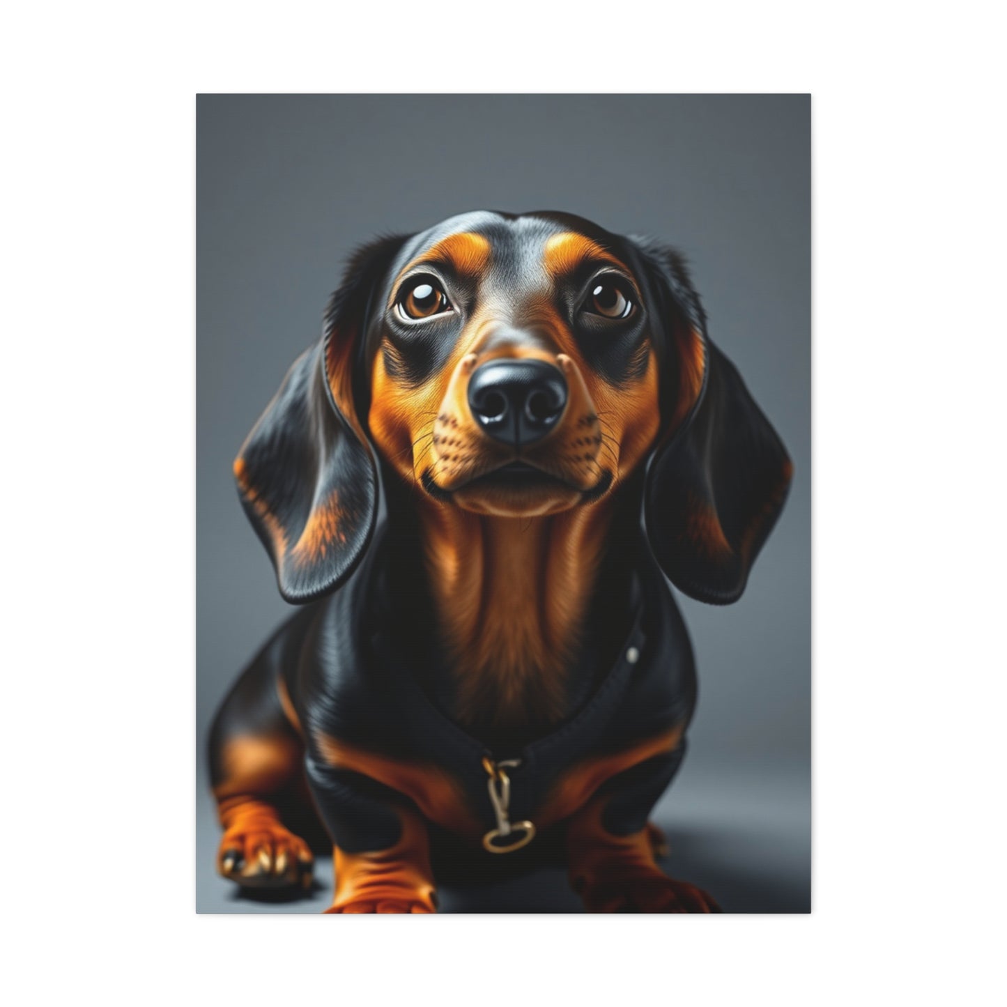 Dachshund Art Supreme Gallery Wall Art & Canvas Print